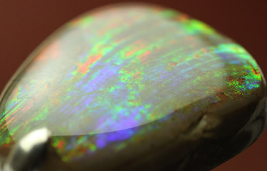 七色に呈する天然のアンモナイトの化石を使用したペンダントトップ(Ammonite)(その12)