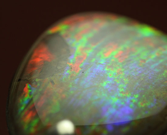 七色に呈する天然のアンモナイトの化石を使用したペンダントトップ(Ammonite)(その13)