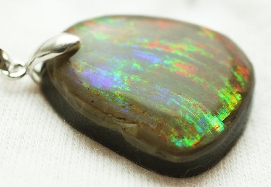 七色に呈する天然のアンモナイトの化石を使用したペンダントトップ(Ammonite)(その3)