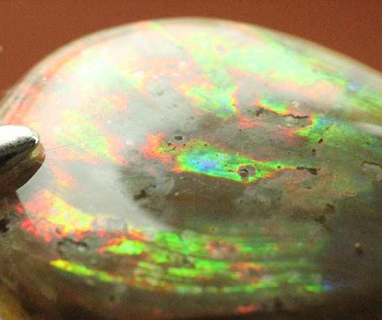 広い面で光ります。！レッド×グリーンがメインの鮮やかな雫型アンモナイトペンダントトップ(Ammonite)（その2）