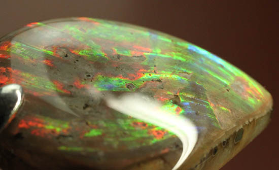 広い面で光ります。！レッド×グリーンがメインの鮮やかな雫型アンモナイトペンダントトップ(Ammonite)（その9）