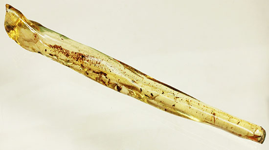 大きな虫と、その他20以上の虫が内包された、虫豊富コーパル化石(Copal)(その2)