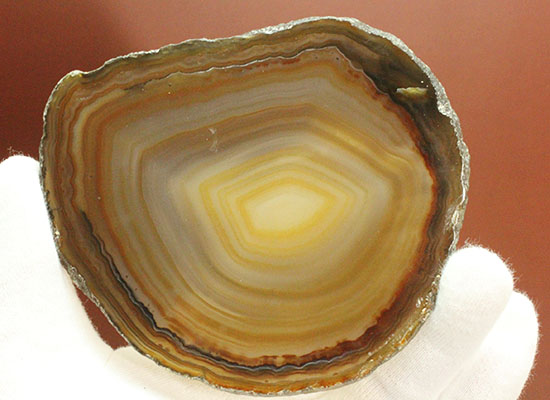 透明感あり!鉱物、メノウ(瑪瑙)のスライス標本(その10)