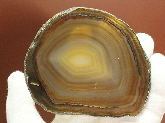 透明感あり!鉱物、メノウ(瑪瑙)のスライス標本(その5)