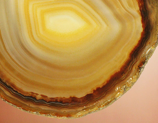 透明感あり!鉱物、メノウ(瑪瑙)のスライス標本(その7)