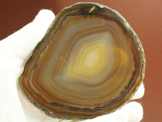 透明感あり!鉱物、メノウ(瑪瑙)のスライス標本(その8)