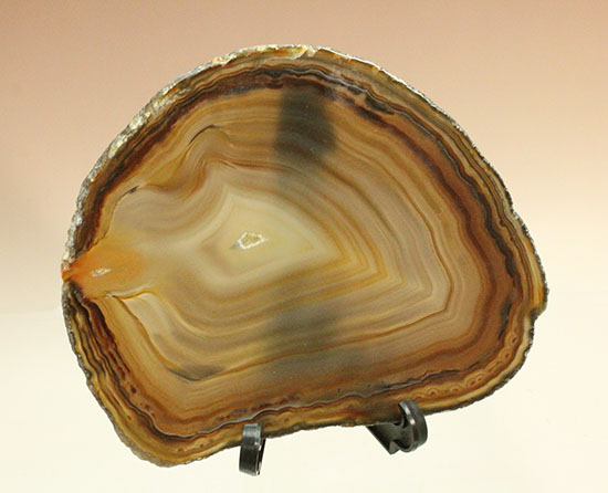 地球が生み出した縞模様です。メノウのスライス標本(Agate)/　【ot703】