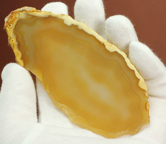 黄色いグラデーション色、明るい印象のメノウスライス標本(Agate)/　【ot720】