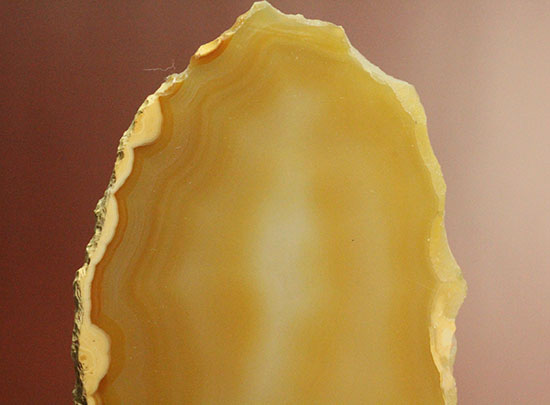 黄色いグラデーション色、明るい印象のメノウスライス標本(Agate)/　【ot720】