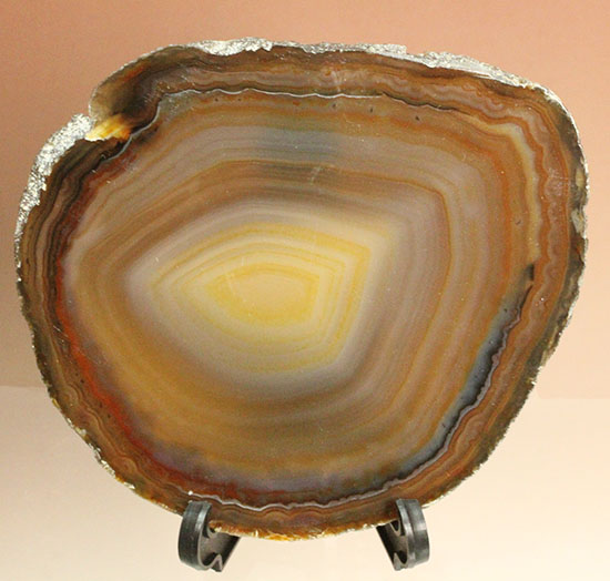 人気のメノウのスライス標本(Agate)（その1）