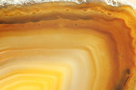 人気のメノウのスライス標本(Agate)(その10)