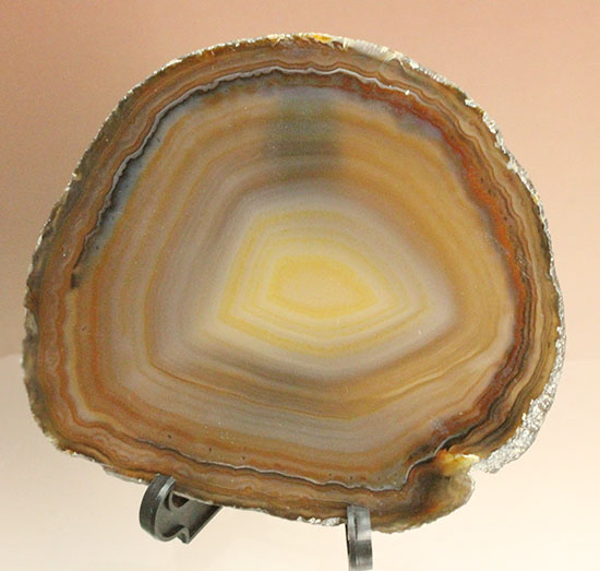 人気のメノウのスライス標本(Agate)(その11)