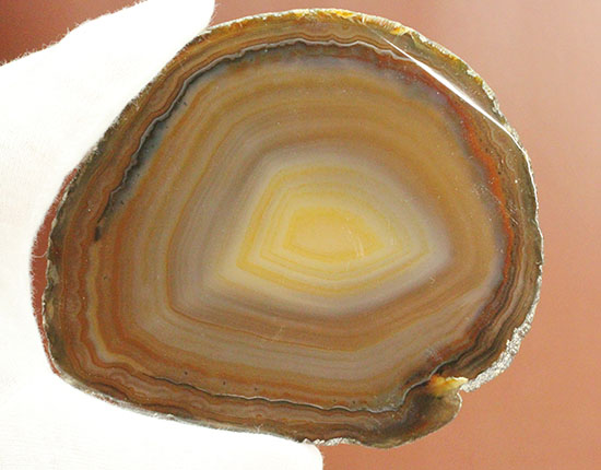 人気のメノウのスライス標本(Agate)(その3)