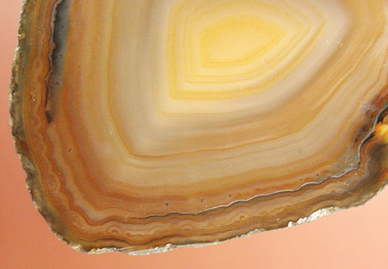 人気のメノウのスライス標本(Agate)（その4）