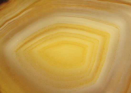 人気のメノウのスライス標本(Agate)(その6)