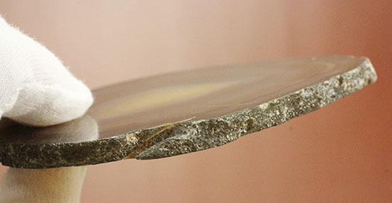 人気のメノウのスライス標本(Agate)(その7)