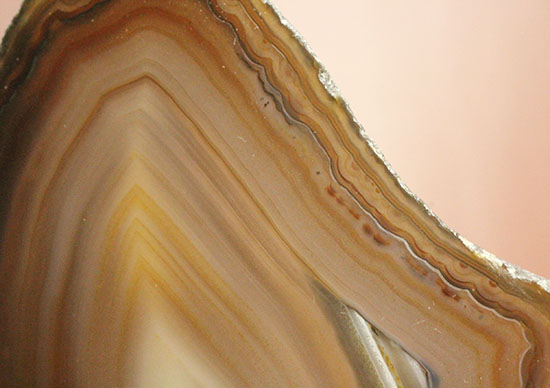 直線的な縞模様とレースの縁取りがコラボした、メノウスライス標本(Agate)(その11)