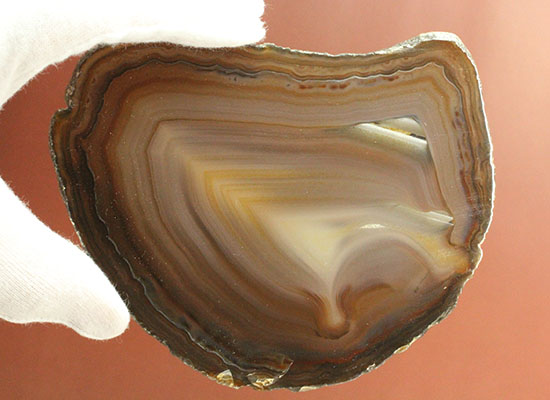 直線的な縞模様とレースの縁取りがコラボした、メノウスライス標本(Agate)(その12)
