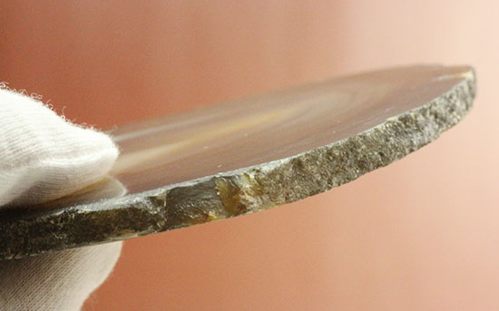 直線的な縞模様とレースの縁取りがコラボした、メノウスライス標本(Agate)(その13)