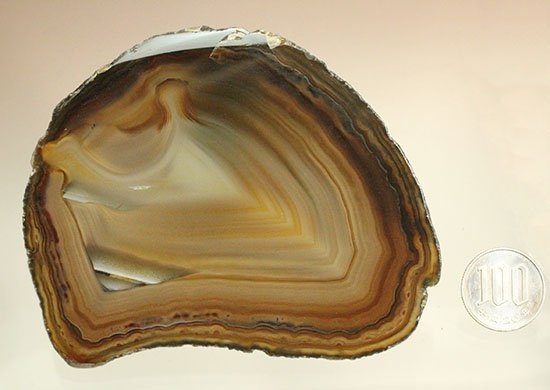 直線的な縞模様とレースの縁取りがコラボした、メノウスライス標本(Agate)(その15)