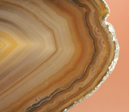 直線的な縞模様とレースの縁取りがコラボした、メノウスライス標本(Agate)(その4)