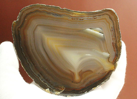 直線的な縞模様とレースの縁取りがコラボした、メノウスライス標本(Agate)(その6)