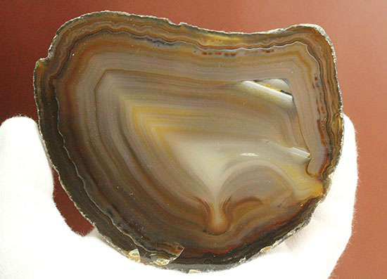 直線的な縞模様とレースの縁取りがコラボした、メノウスライス標本(Agate)（その6）