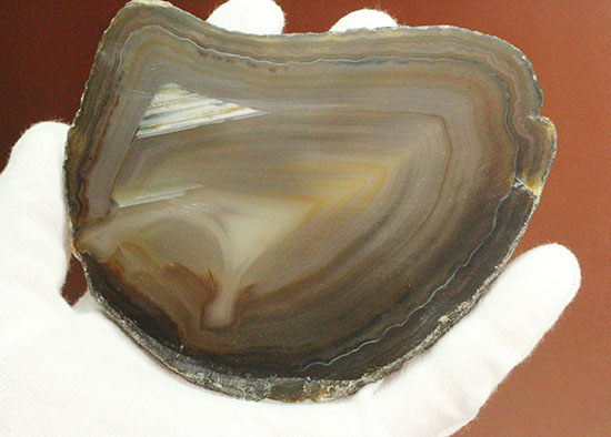 直線的な縞模様とレースの縁取りがコラボした、メノウスライス標本(Agate)(その7)