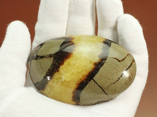 ユニークな柄！大きさも自慢の鉱物、セプタリアン(Septarian)/中生代白亜紀（1億3500万 -- 6500万年前）【ot729】