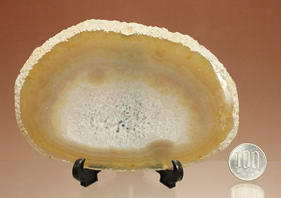 中央部がステンドグラスのように透き通ります！鉱物メノウ標本(Agate)（その11）