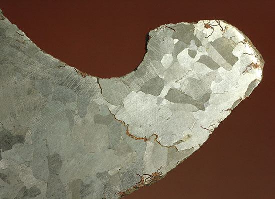 鉄隕石カンポ・デル・シエロのスライス標本(144g)（その12）