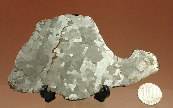 鉄隕石カンポ・デル・シエロのスライス標本(144g)/　【ot765】