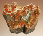ダブル面ポリッシュで両面展示可能です。深いブラウン色を有する、三畳紀の木化石、珪化木（ケイカボク）
