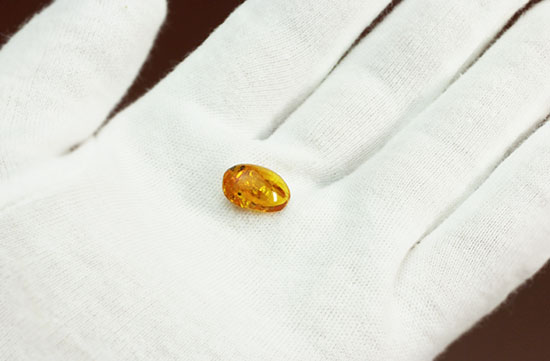 絶妙なポーズで虫が包まれています。ドミニカ産虫入り琥珀(Amber)(その4)