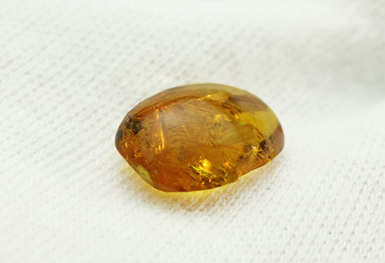 絶妙なポーズで虫が包まれています。ドミニカ産虫入り琥珀(Amber)(その9)