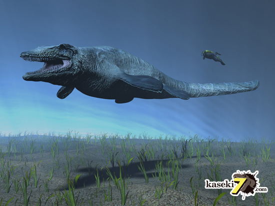 白亜紀の海の頂点に立った、モササウルスの巨大歯化石（その2）