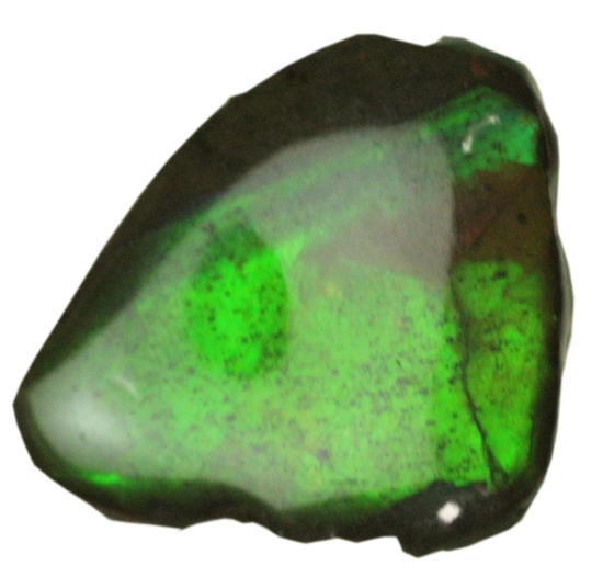 濃い緑色！カナダアルバータ州産アンモライト(Ammolite)/中生代白亜紀（1億3500万 -- 6500万年前）【al151】