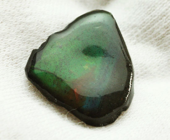 濃い緑色!カナダアルバータ州産アンモライト(Ammolite)(その5)