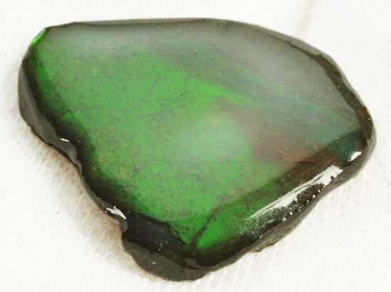 濃い緑色！カナダアルバータ州産アンモライト(Ammolite)/中生代白亜紀（1億3500万 -- 6500万年前）【al151】