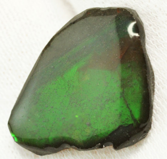 濃い緑色!カナダアルバータ州産アンモライト(Ammolite)(その7)