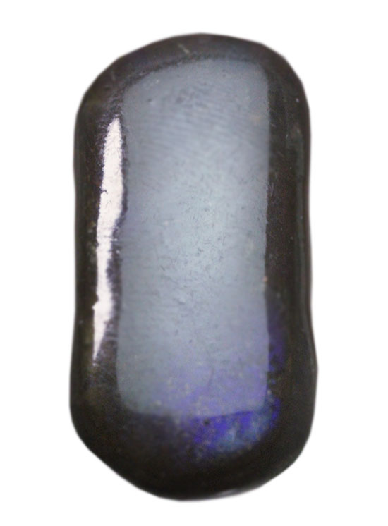 丸みを帯びた青色アンモライト、白亜紀カナダアルバータ州産(Ammolite)（その2）