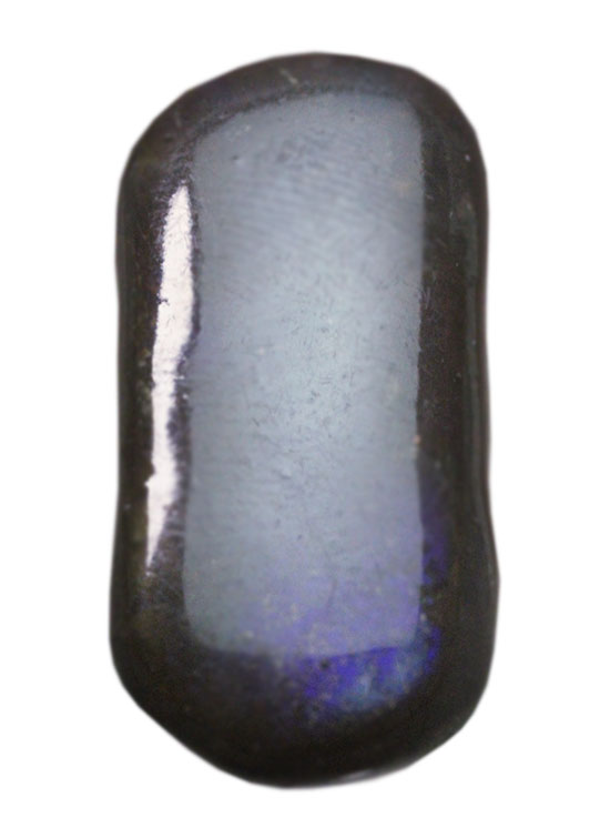 丸みを帯びた青色アンモライト、白亜紀カナダアルバータ州産(Ammolite)(その2)