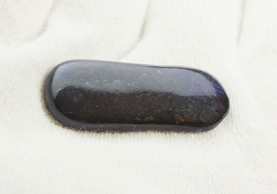 丸みを帯びた青色アンモライト、白亜紀カナダアルバータ州産(Ammolite)(その4)