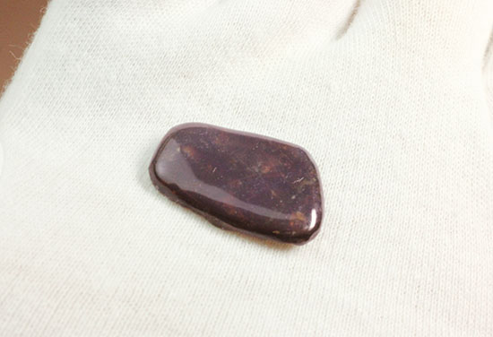 上品な紫色！カナダアルバータ州産アンモライト(Ammolite)（その5）
