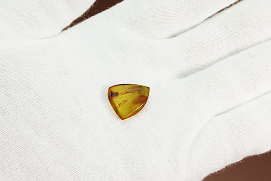 クッキリ鮮明にアリを確認できます。虫入り琥珀、バルト海産(Amber)(その4)