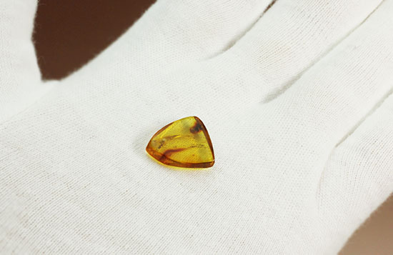 クッキリ鮮明にアリを確認できます。虫入り琥珀、バルト海産(Amber)(その6)