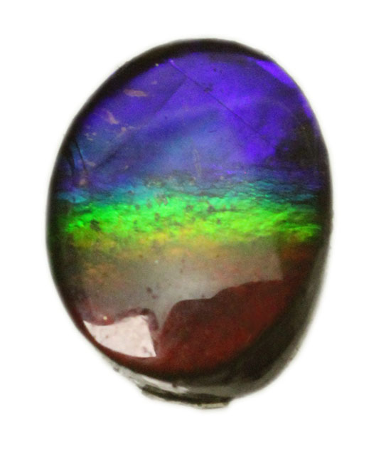 青から赤への流れるようなグラデーションが魅力の、カナダアルバータ州産アンモライト(Ammolite)(その1)