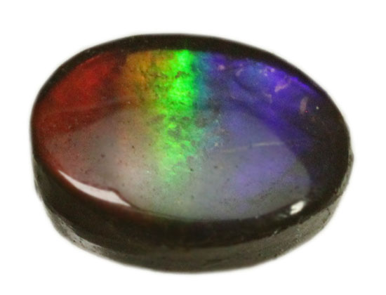 青から赤への流れるようなグラデーションが魅力の、カナダアルバータ州産アンモライト(Ammolite)(その5)