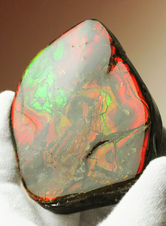 化石で唯一宝石として認定されているアンモライトの大型ピース。濃い赤と緑を堪能できます。（その1）
