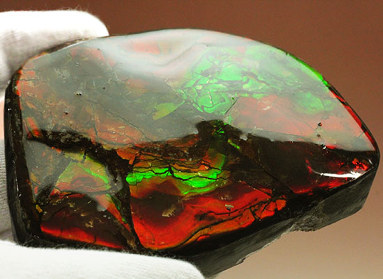 化石で唯一宝石として認定されているアンモライトの大型ピース。濃い赤と緑を堪能できます。（その12）